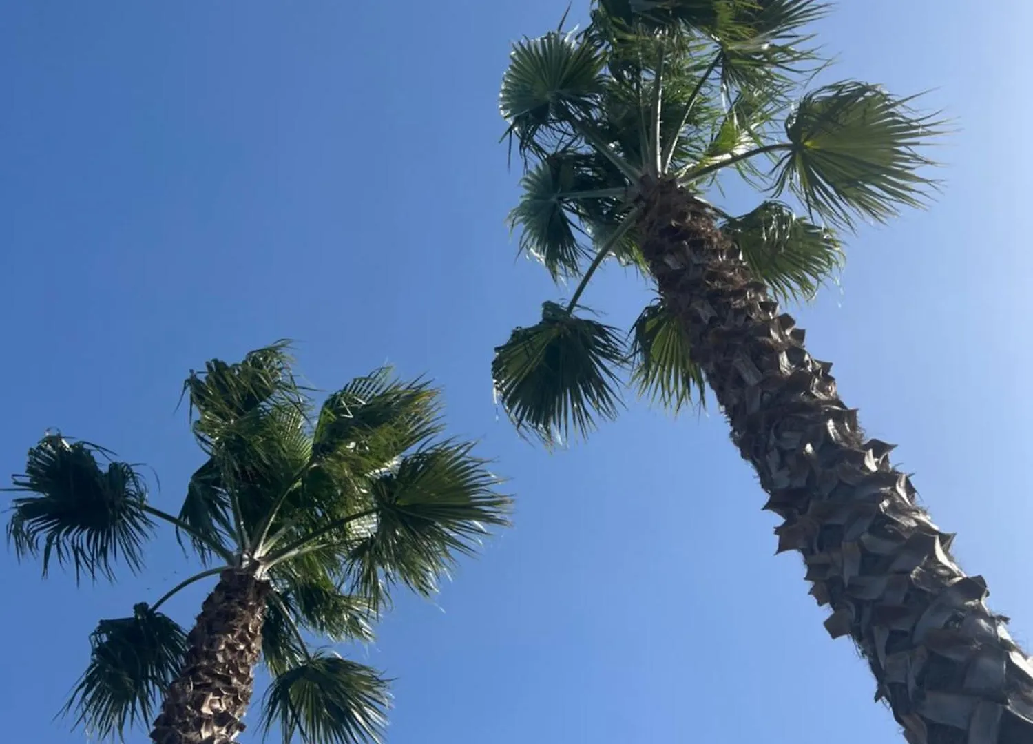 ベッド・アンド・ブレックファスト Agriresort Villa Bentivoglio ピアッツァ・アルメリーナ