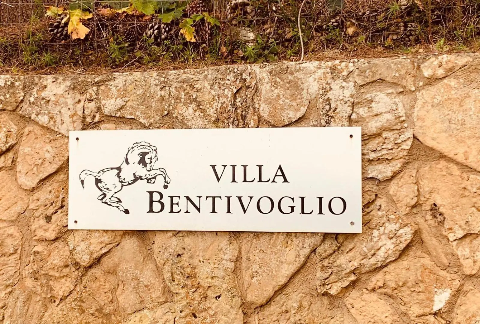 Bed & Breakfast B&B Villa Bentivoglio Piazza Armerina