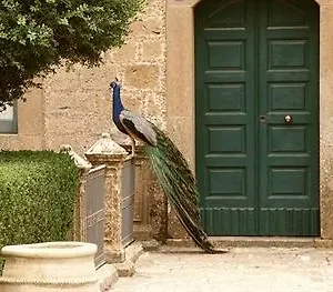 Savoca Piazza Armerina