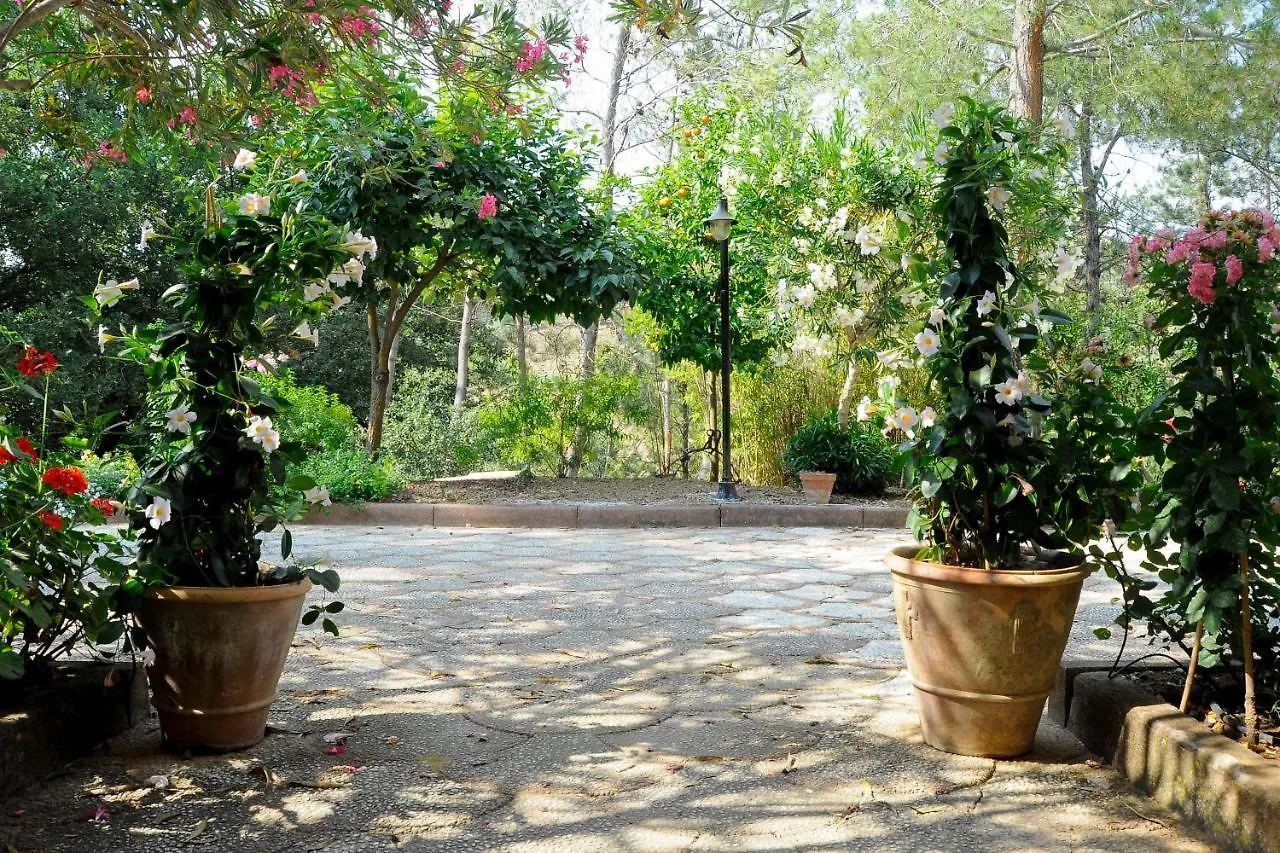 Bed & Breakfast Agriresort Villa Bentivoglio Piazza Armerina Italië